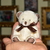 Image-square_50