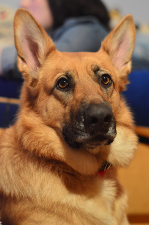 Image-preview_300x200