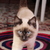 Image-square_50