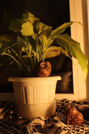 Image-preview_300x200