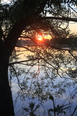 Image-preview_300x200