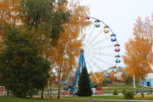 Image-preview_300x200