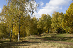 Image-preview_300x200