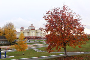 Image-preview_300x200