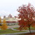 Image-square_50