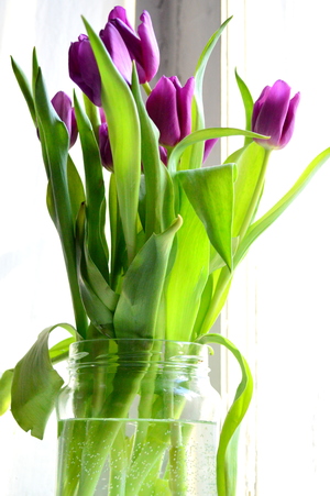 Image-preview_300x200