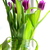 Image-square_50