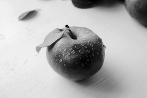 Image-preview_300x200