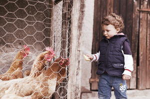 Image-preview_300x200