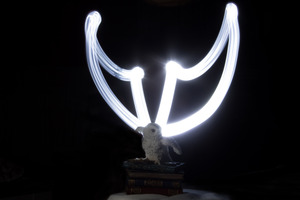 Image-preview_300x200