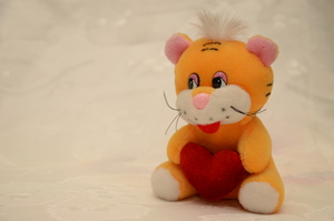 Image-preview_300x200