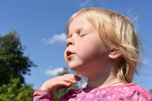 Image-preview_300x200