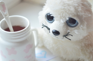 Image-preview_300x200