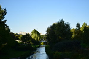 Image-preview_300x200