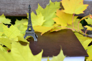 Image-preview_300x200