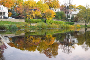 Image-preview_300x200