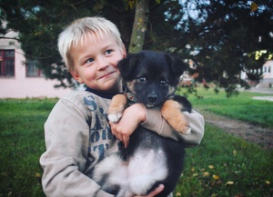 Image-preview_300x200