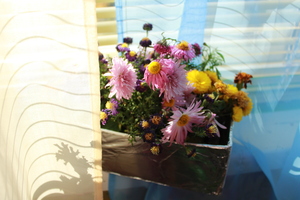 Image-preview_300x200