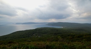 Image-preview_300x200