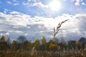 Image-preview_300x200