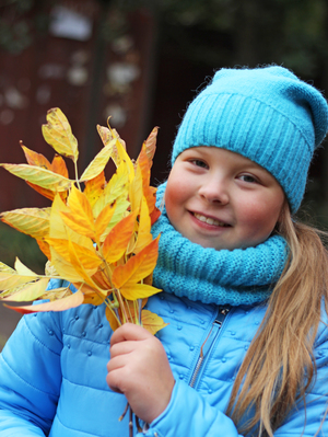 Image-preview_300x200