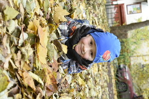 Image-preview_300x200