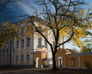 Image-preview_300x200