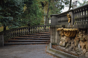 Image-preview_300x200