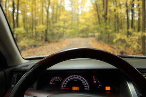 Image-preview_300x200