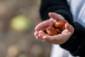 Image-preview_300x200