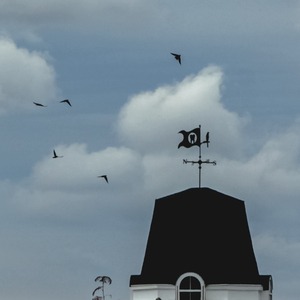 Image-preview_300x200