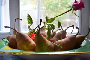 Image-preview_300x200