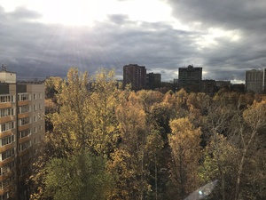 Image-preview_300x200