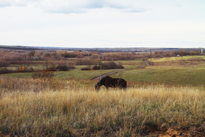 Image-preview_300x200