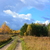 Image-square_50