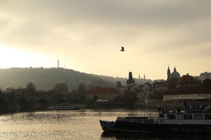 Image-preview_300x200