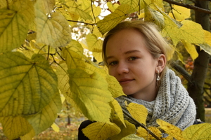 Image-preview_300x200