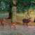 Image-square_50