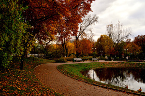 Image-preview_300x200