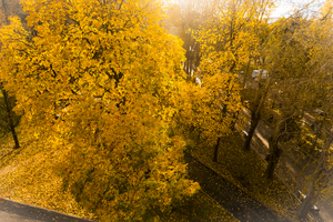 Image-preview_300x200