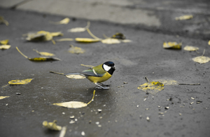 Image-preview_300x200