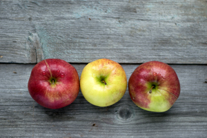 Image-preview_300x200