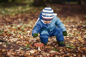 Image-preview_300x200