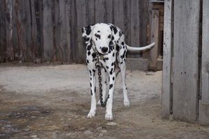 Image-preview_300x200