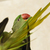 Image-square_50
