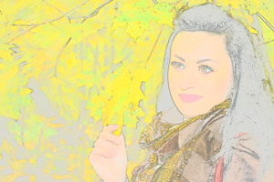 Image-preview_300x200