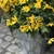 Image-square_50