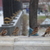 Image-square_50
