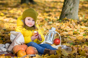 Image-preview_300x200