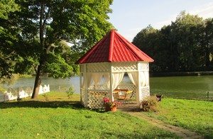 Image-preview_300x200